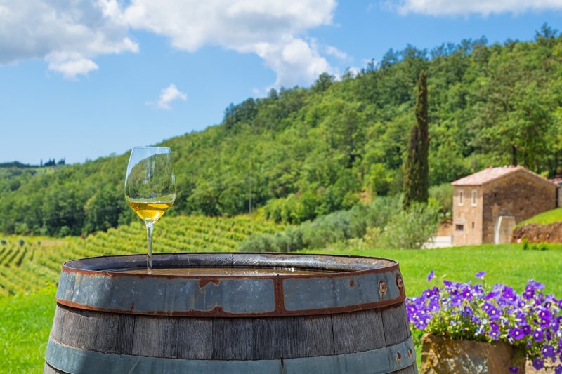 Obilazak vinarija neizostavan je dio odmora u sjeverozapadnoj Istri