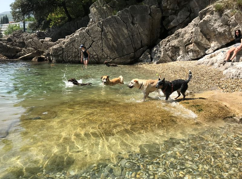 Plaža za pse u okolici Opatije